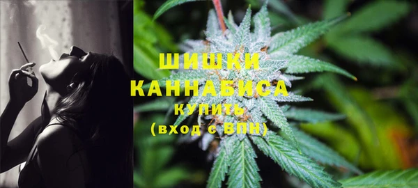 ПСИЛОЦИБИНОВЫЕ ГРИБЫ Алексеевка