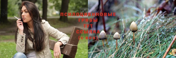 mdpv Алзамай