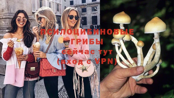 ПСИЛОЦИБИНОВЫЕ ГРИБЫ Алексеевка