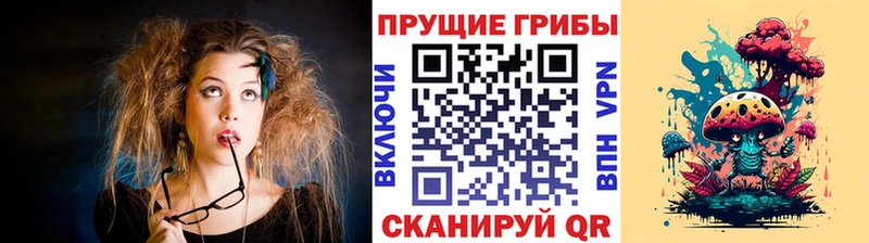 Псилоцибиновые грибы мицелий  Вышний Волочёк 
